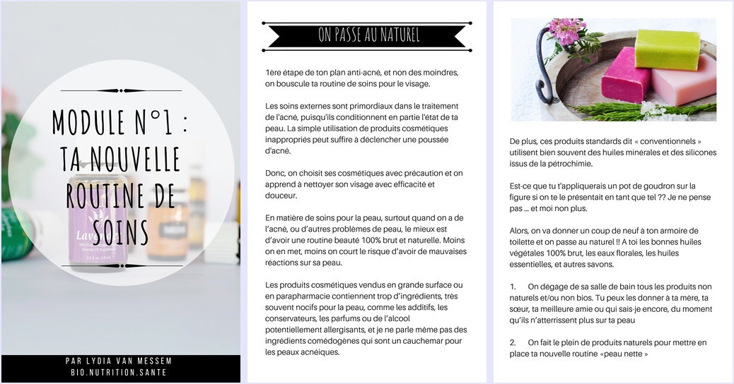 programme coaching anti acné peau nette avec ayurveda - bio nutrition santé