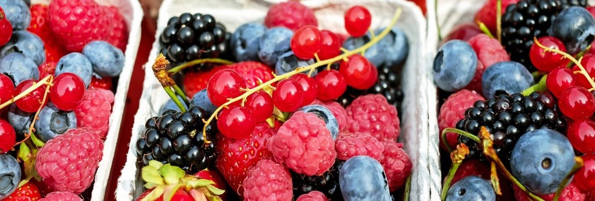 fruits riches en vitamine C